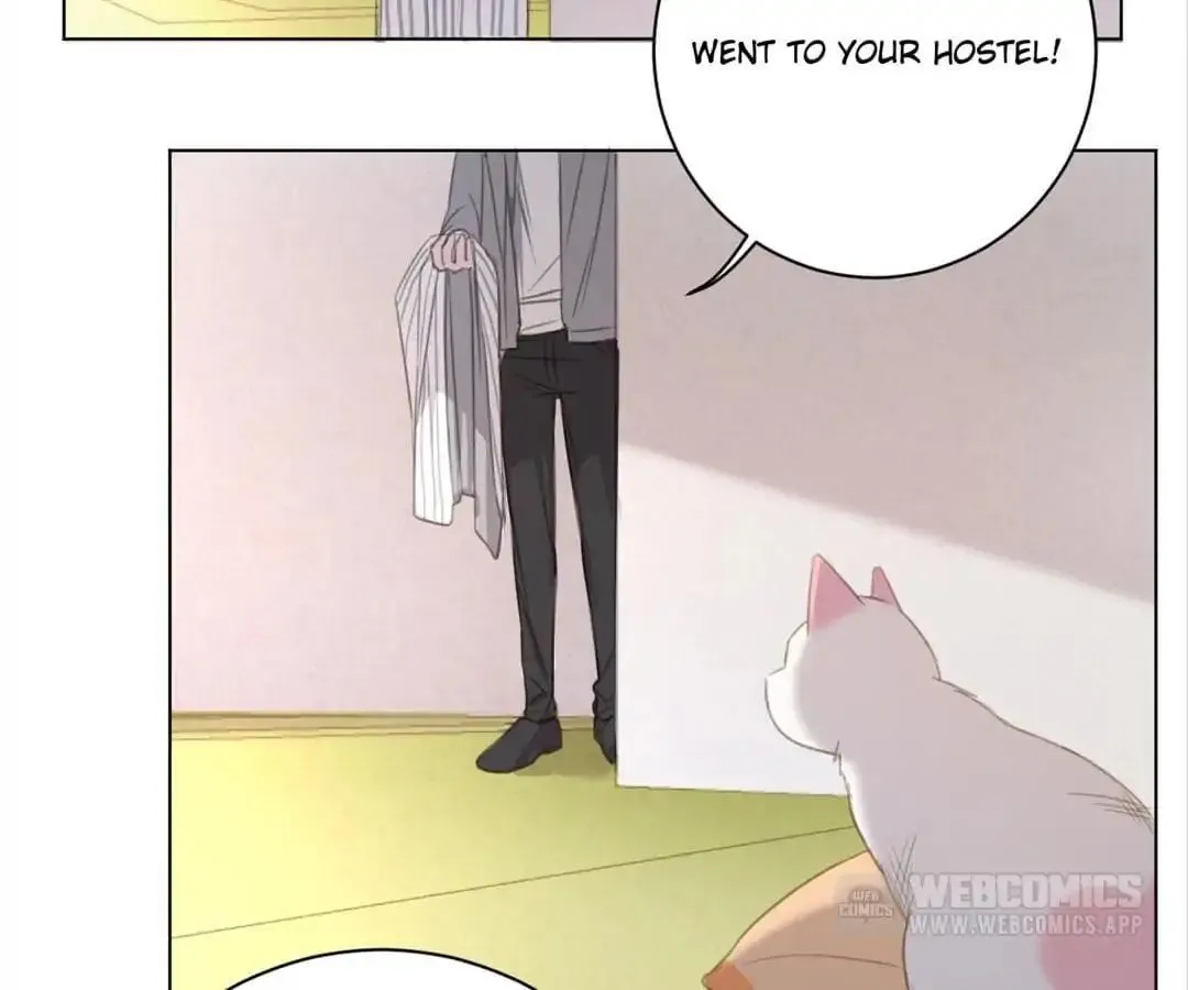 A Cat's World Chapter 13 page 62 - 