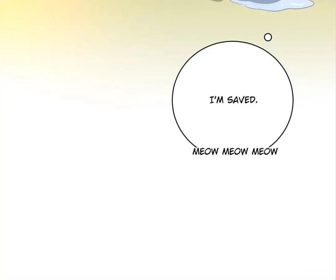 A Cat's World Chapter 13 page 67 - 