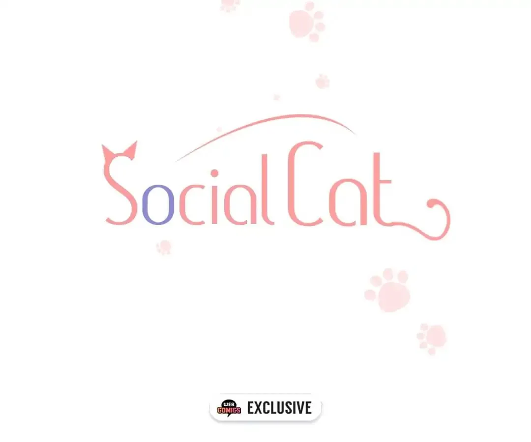 A Cat's World Chapter 14 page 3 - 