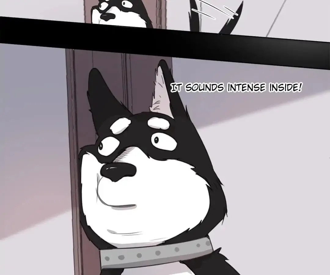 A Cat's World Chapter 15 page 33 - 
