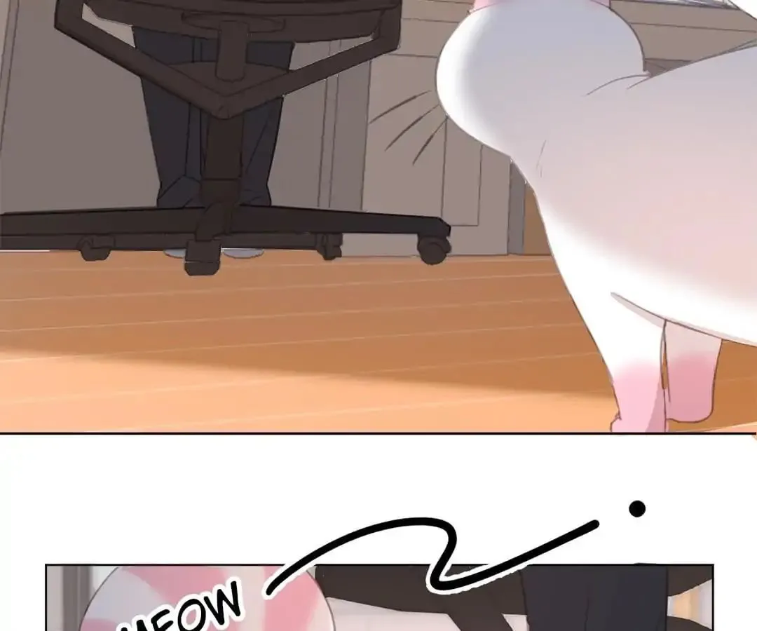 A Cat's World Chapter 15 page 56 - 
