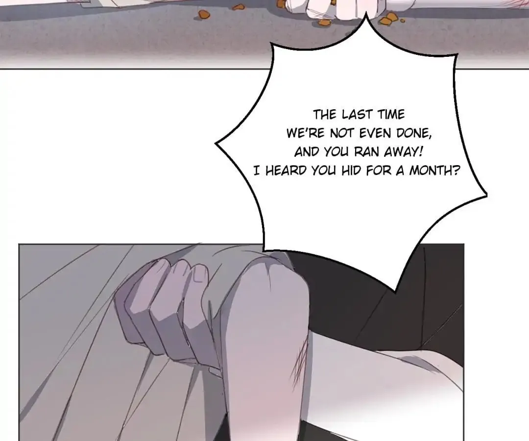 A Cat's World Chapter 16 page 41 - 