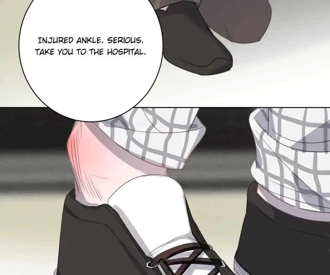 A Cat's World Chapter 16 page 61 - 