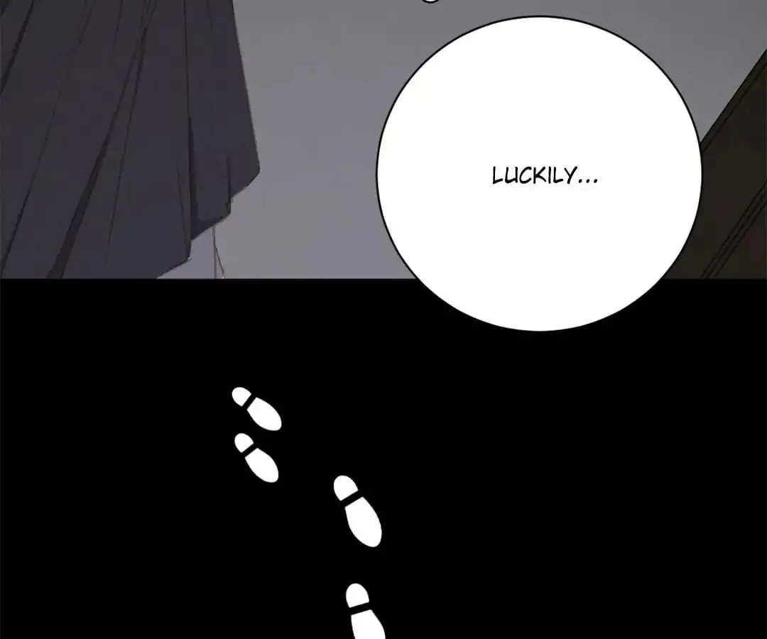 A Cat's World Chapter 19 page 33 - 