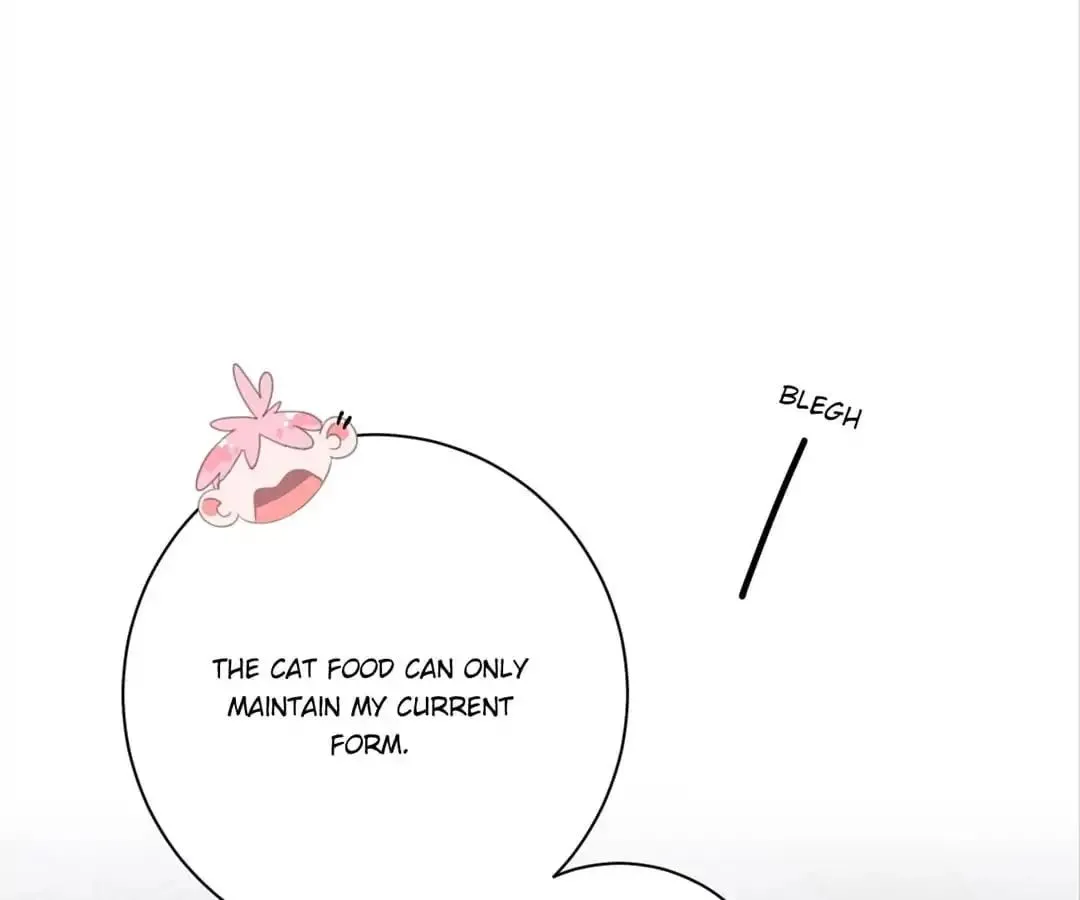 A Cat's World Chapter 19 page 68 - 