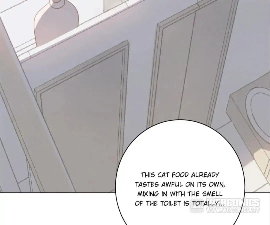 A Cat's World Chapter 19 page 70 - 