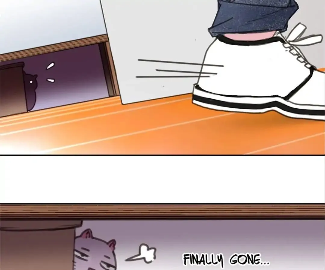 A Cat's World Chapter 2 page 12 - 