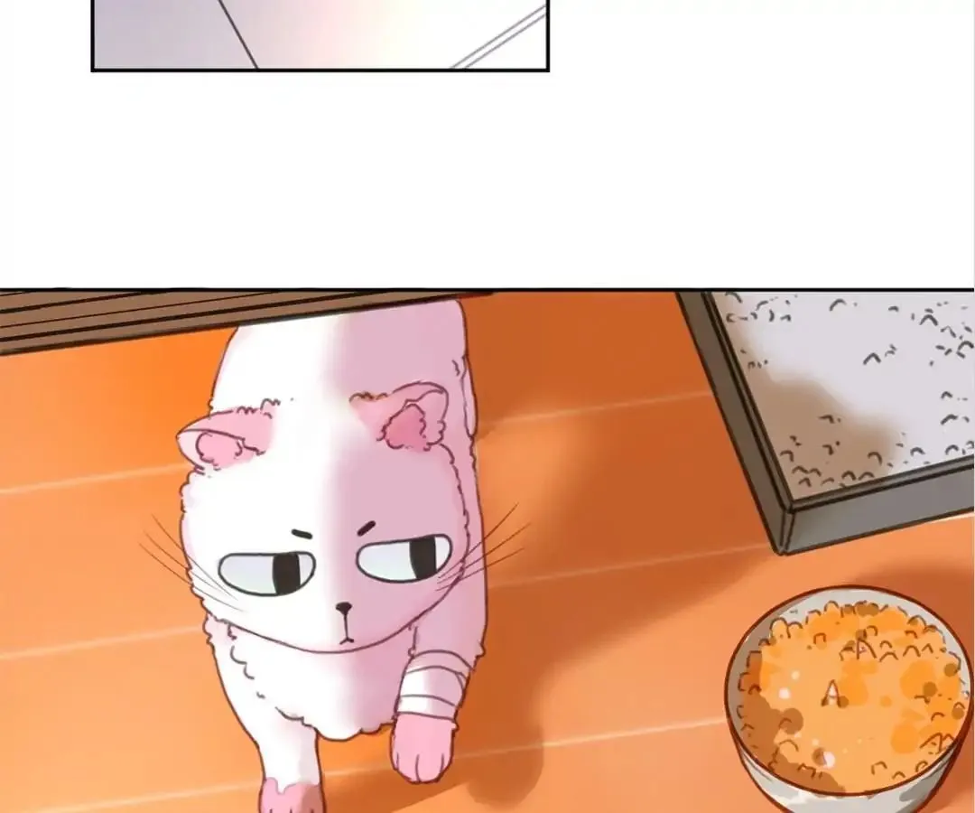 A Cat's World Chapter 2 page 20 - 