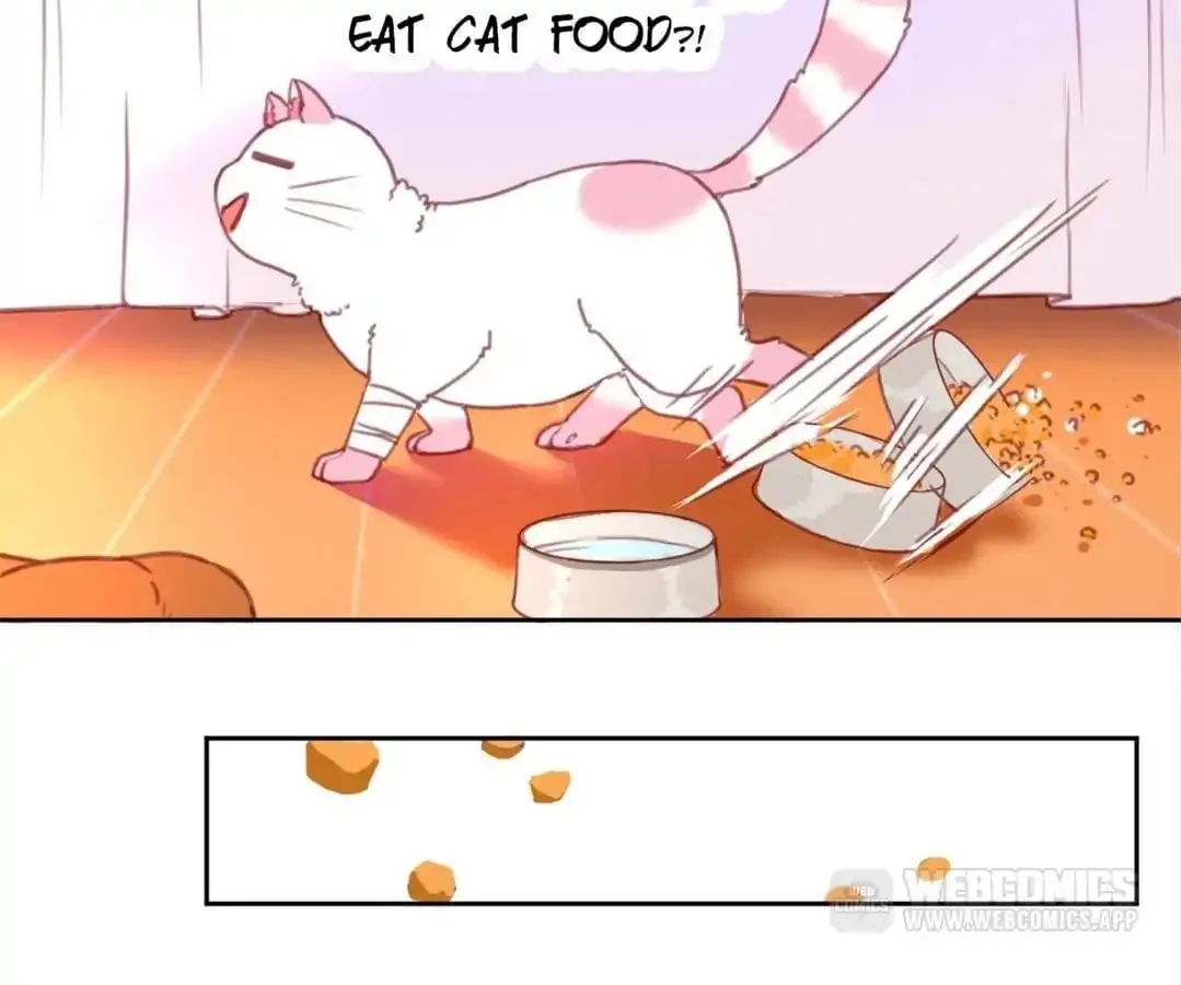 A Cat's World Chapter 2 page 23 - 