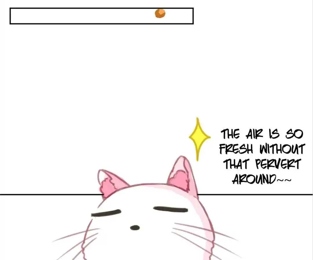 A Cat's World Chapter 2 page 24 - 