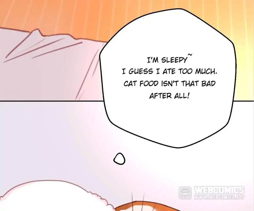 A Cat's World Chapter 2 page 33 - 