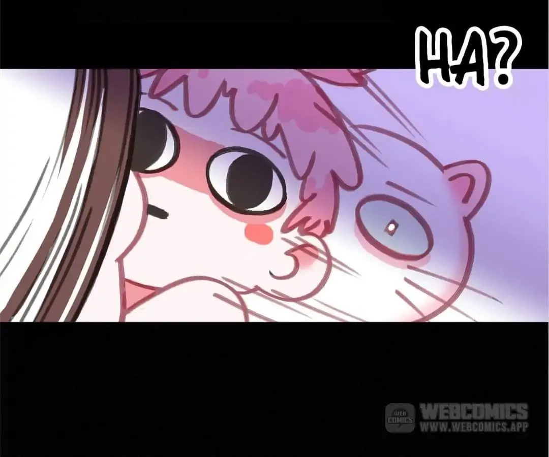A Cat's World Chapter 2 page 71 - 