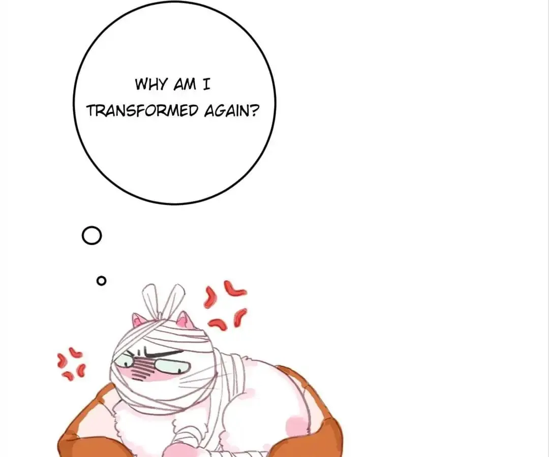 A Cat's World Chapter 2 page 78 - 
