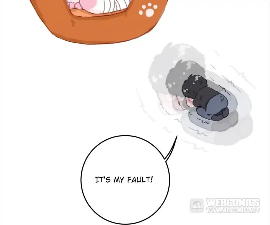 A Cat's World Chapter 2 page 79 - 