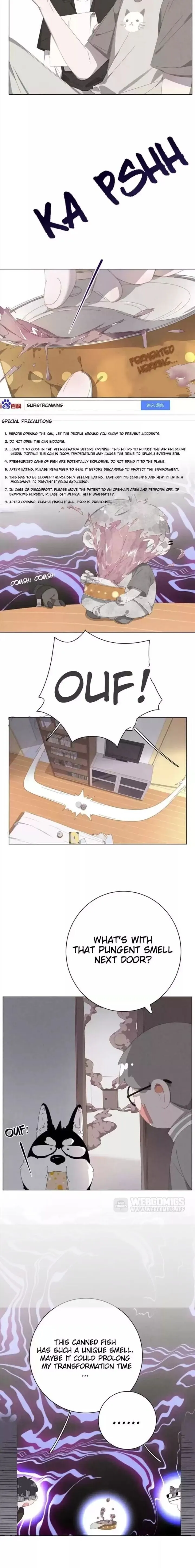 A Cat's World Chapter 21 page 3 - 