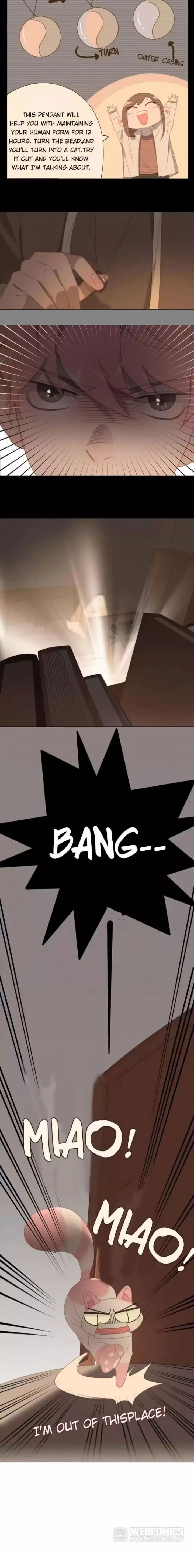A Cat's World Chapter 26 page 12 - 