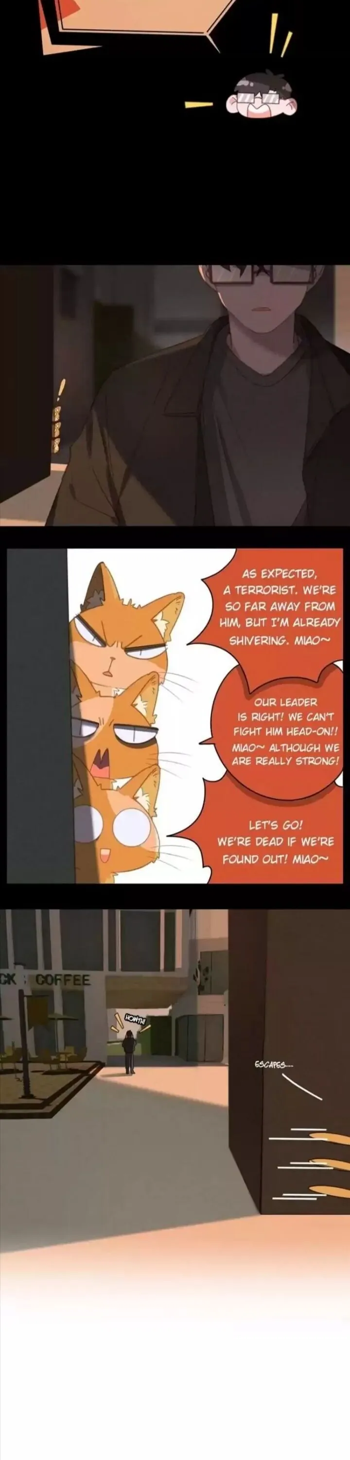 A Cat's World Chapter 27 page 12 - 