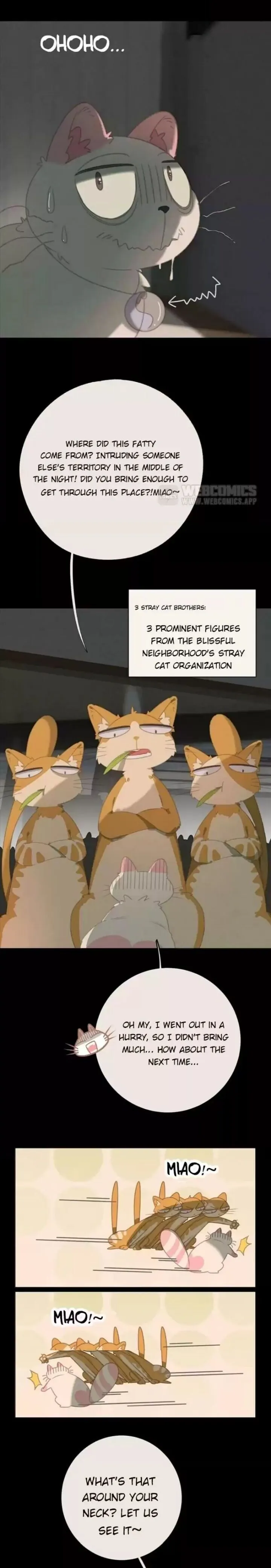 A Cat's World Chapter 27 page 4 - 