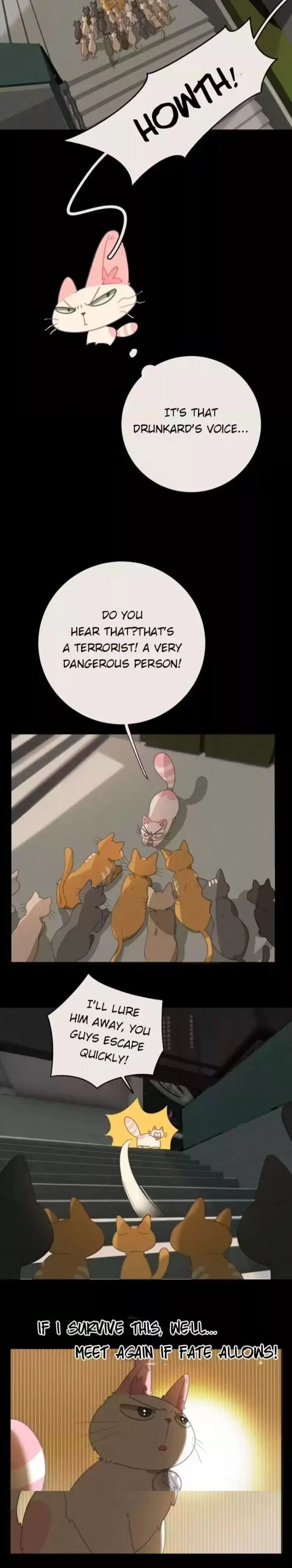 A Cat's World Chapter 27 page 10 - 