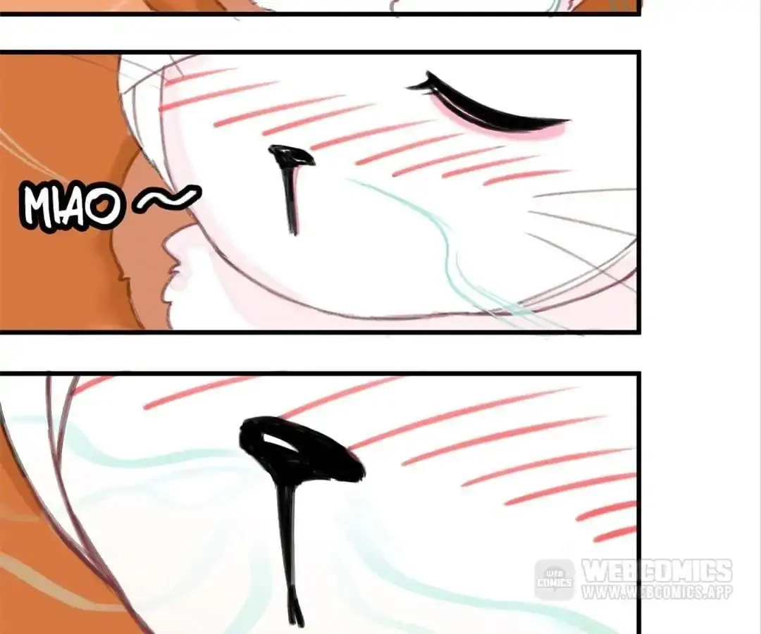 A Cat's World Chapter 3 page 19 - 