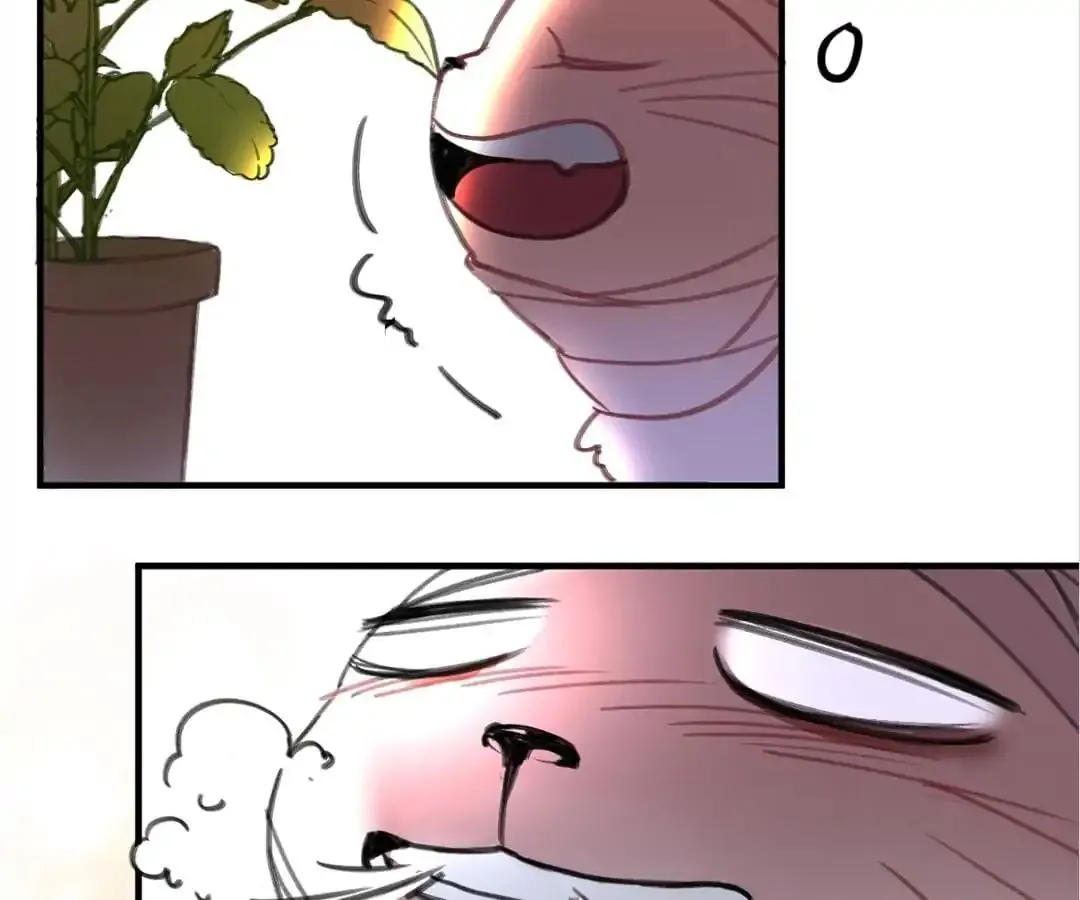 A Cat's World Chapter 3 page 28 - 