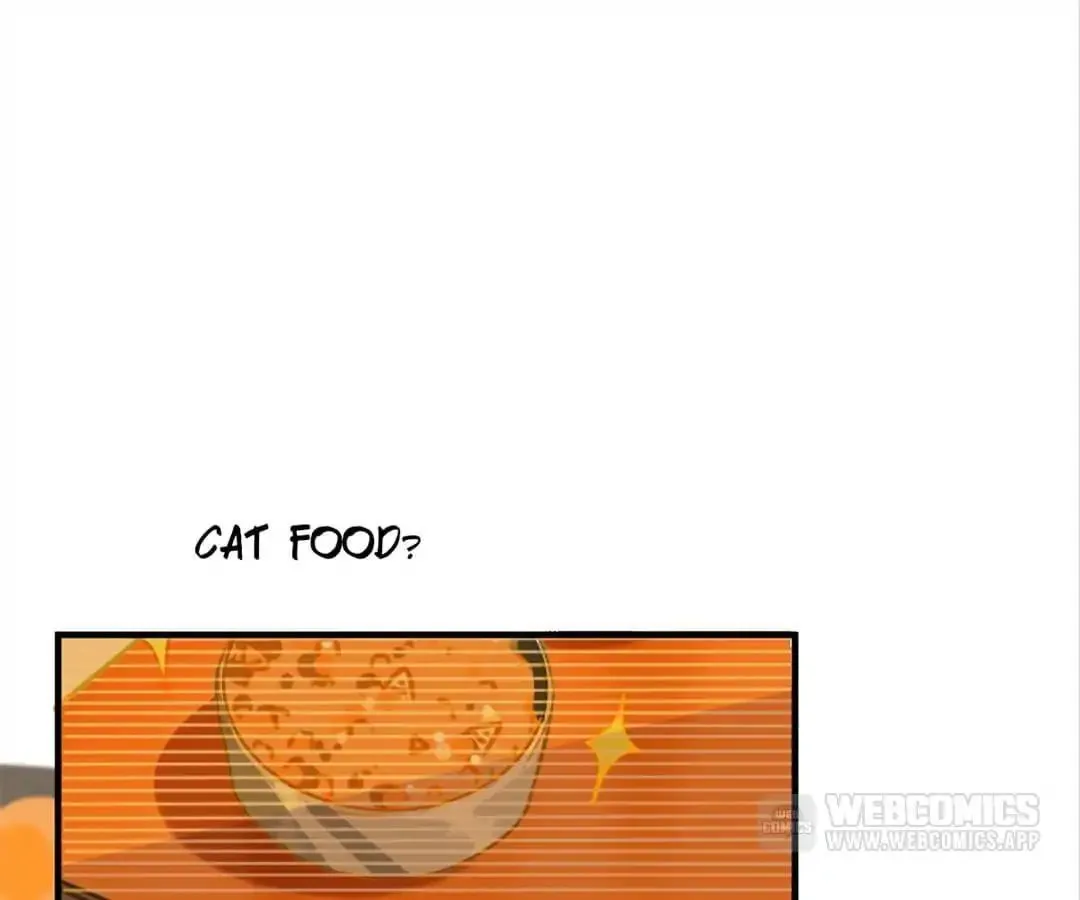 A Cat's World Chapter 3 page 5 - 