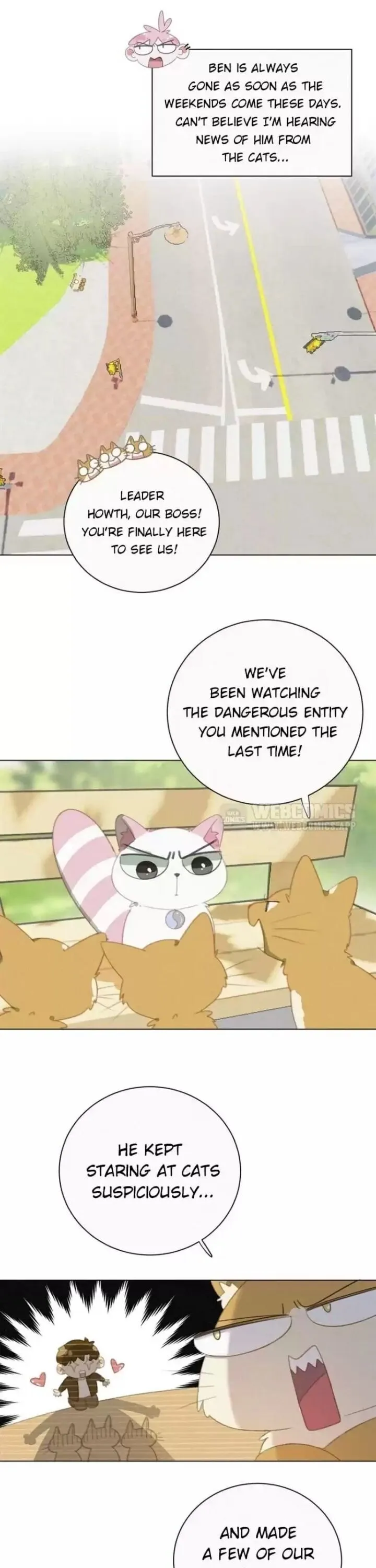 A Cat's World Chapter 33 page 1 - 