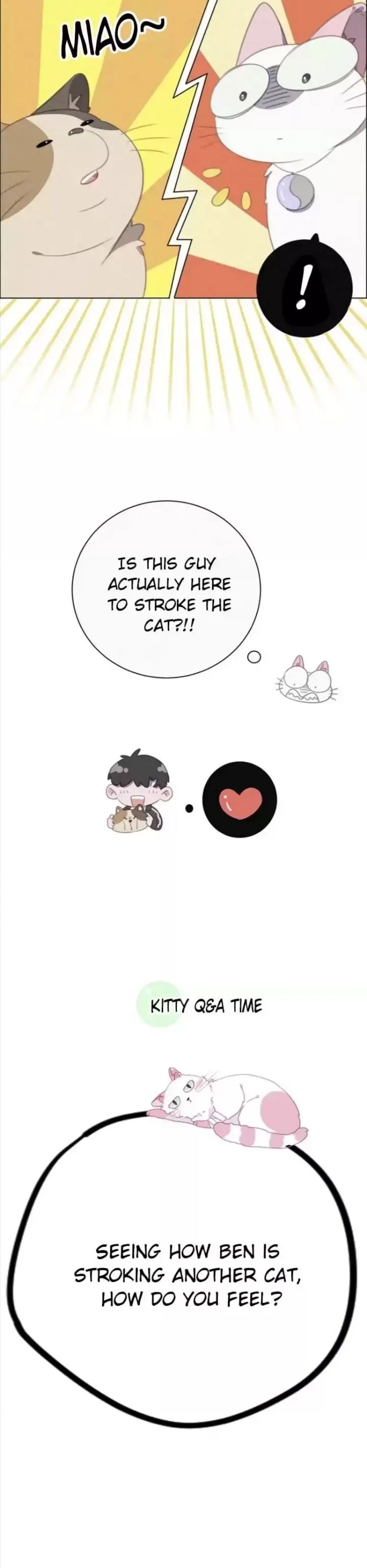 A Cat's World Chapter 33 page 14 - 
