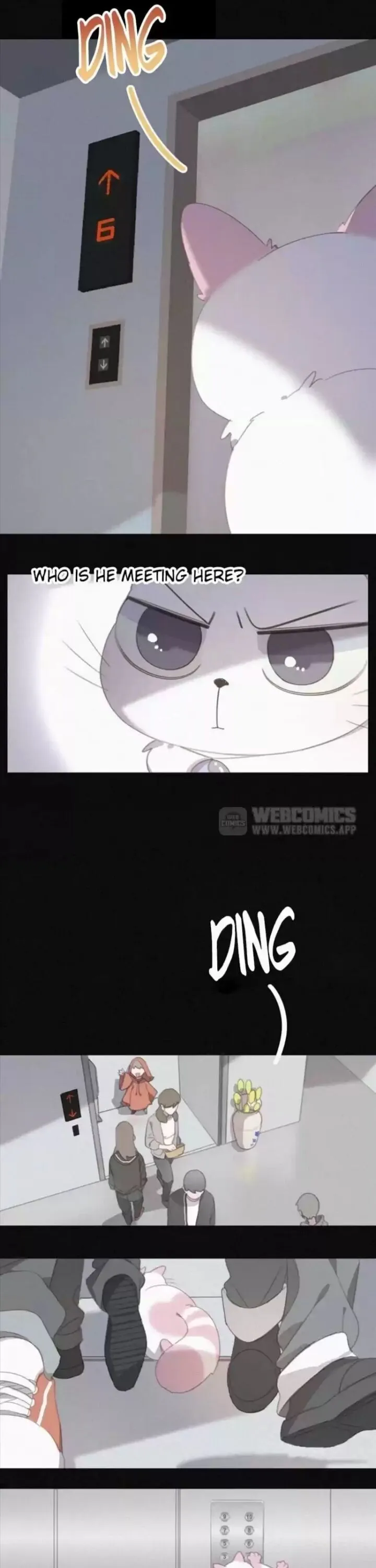 A Cat's World Chapter 33 page 5 - 