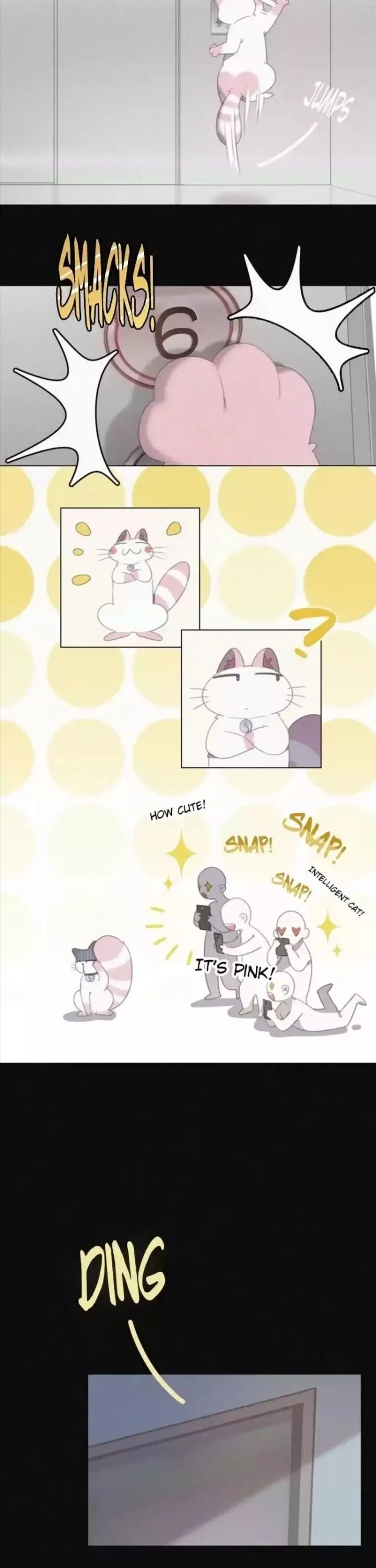 A Cat's World Chapter 33 page 6 - 