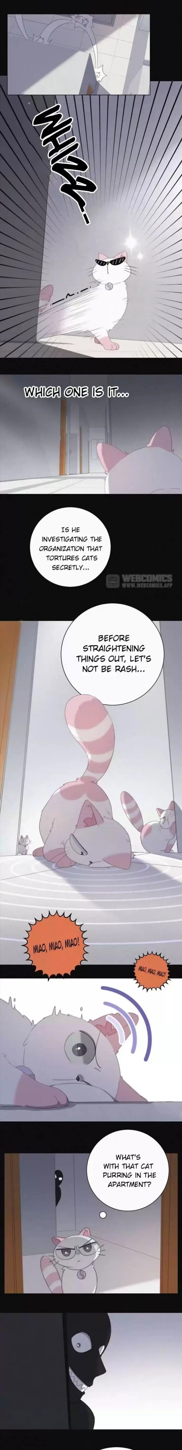 A Cat's World Chapter 33 page 7 - 