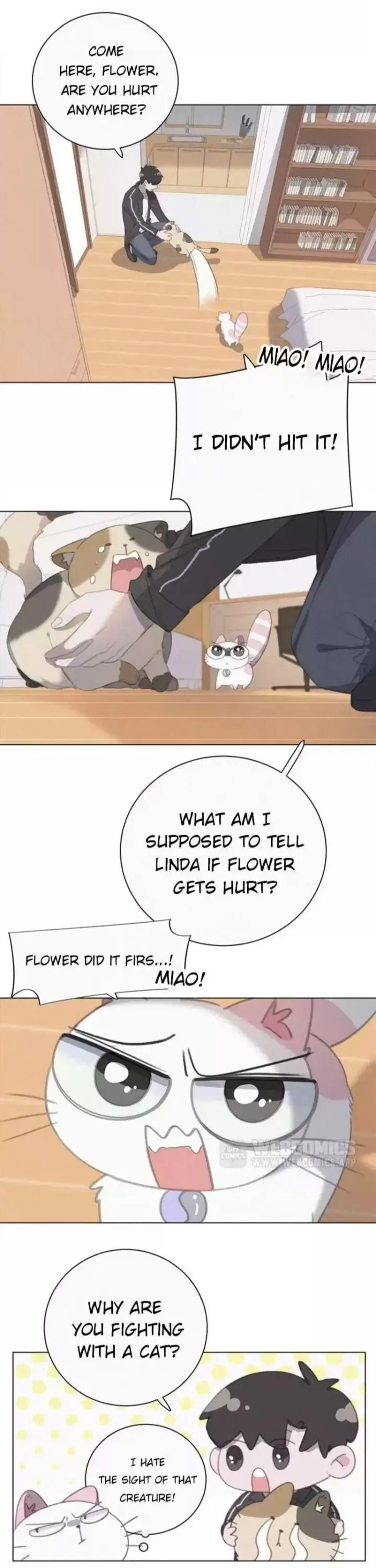 A Cat's World Chapter 34 page 10 - 