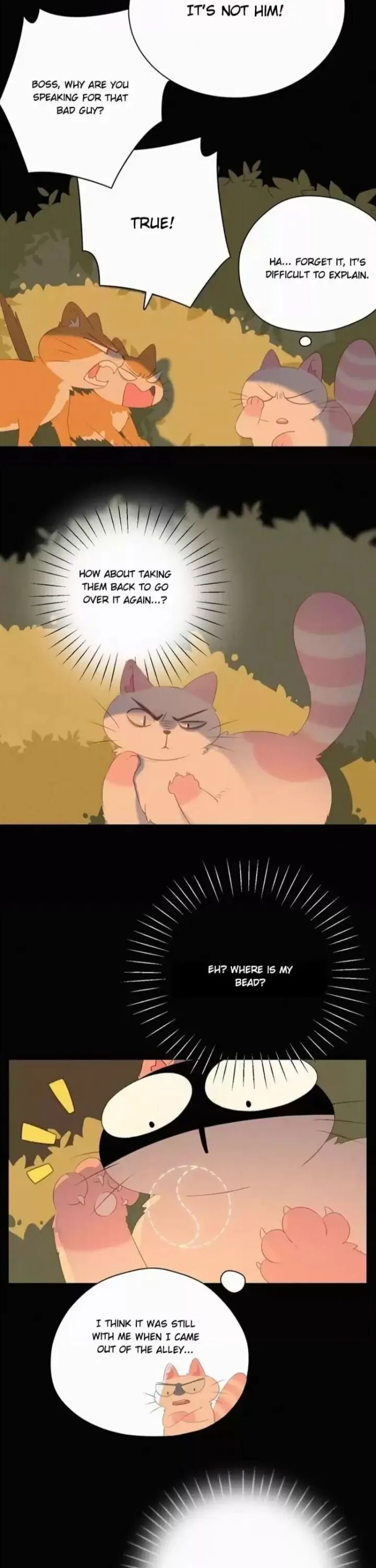 A Cat's World Chapter 35 page 6 - 