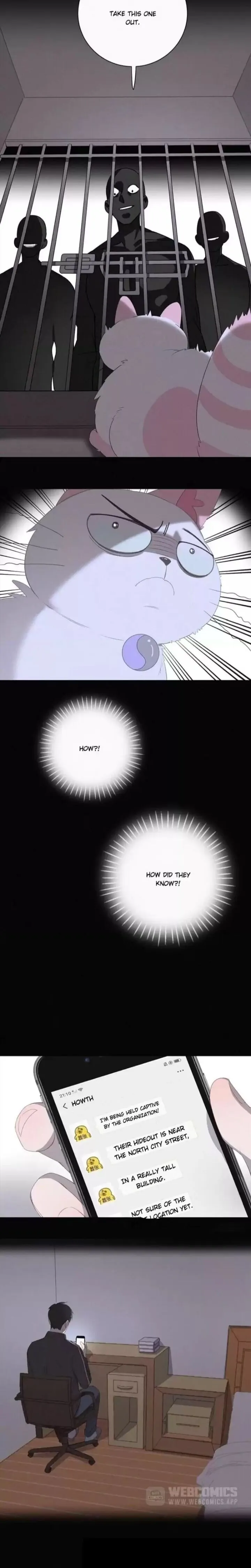 A Cat's World Chapter 36 page 14 - 