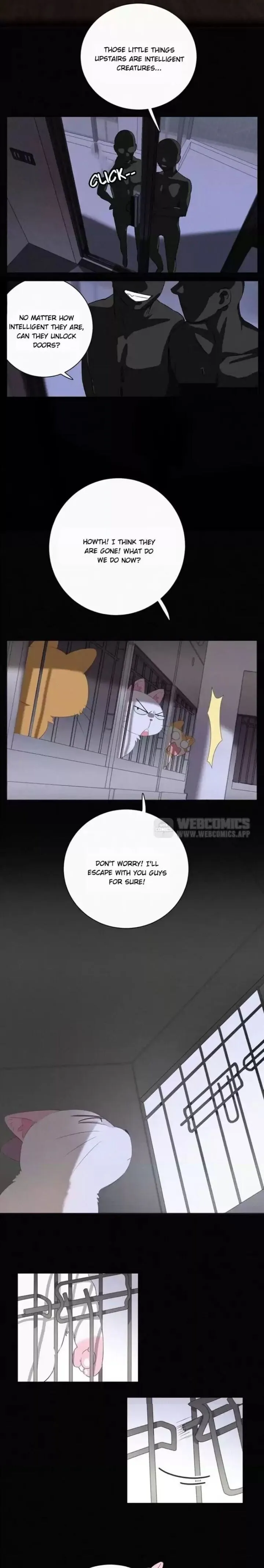 A Cat's World Chapter 36 page 3 - 