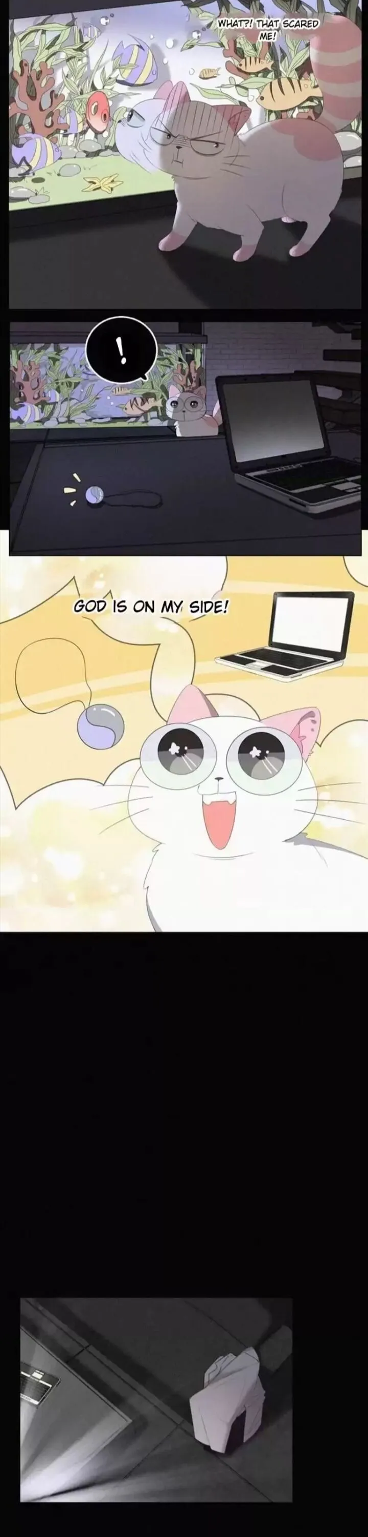 A Cat's World Chapter 36 page 6 - 