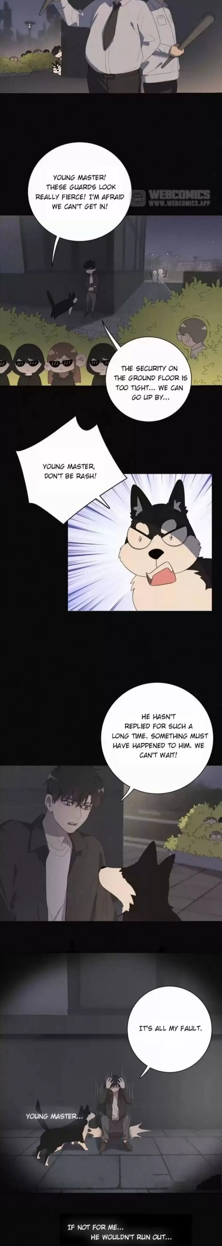 A Cat's World Chapter 37 page 12 - 