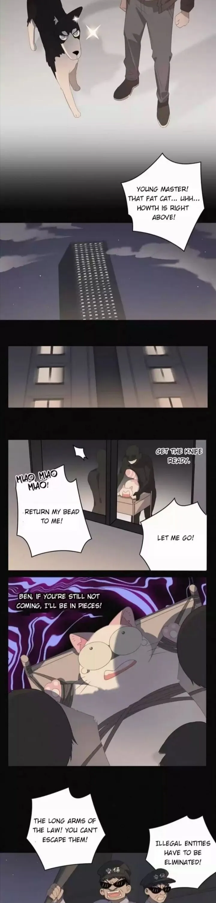 A Cat's World Chapter 37 page 6 - 