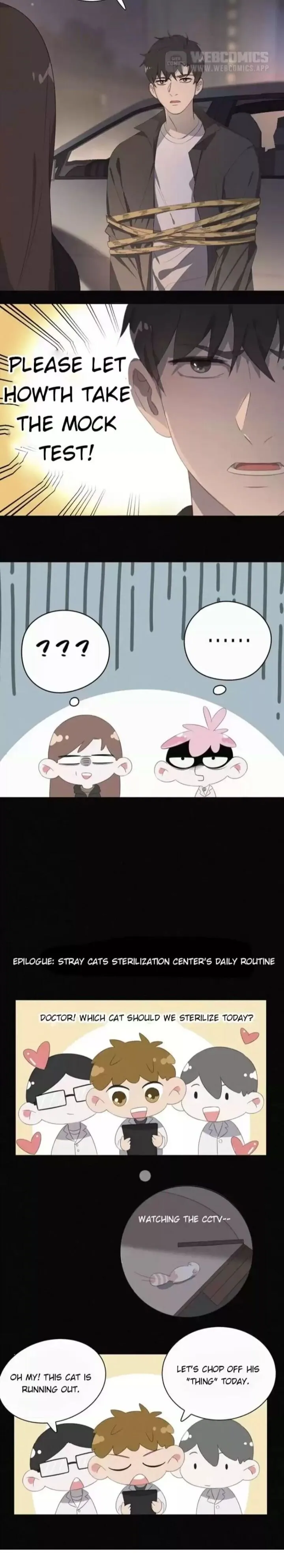 A Cat's World Chapter 38 page 18 - 