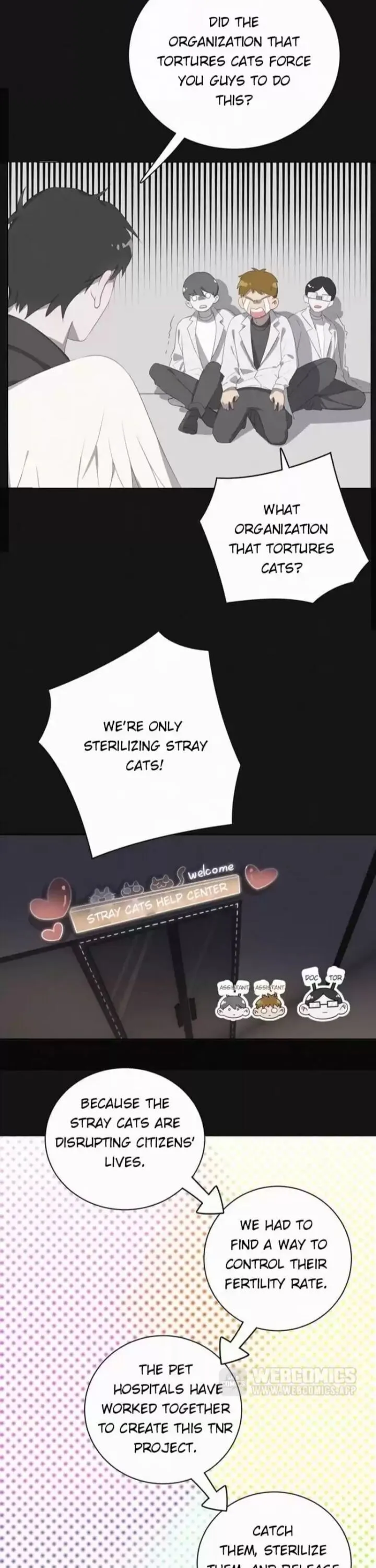 A Cat's World Chapter 38 page 4 - 