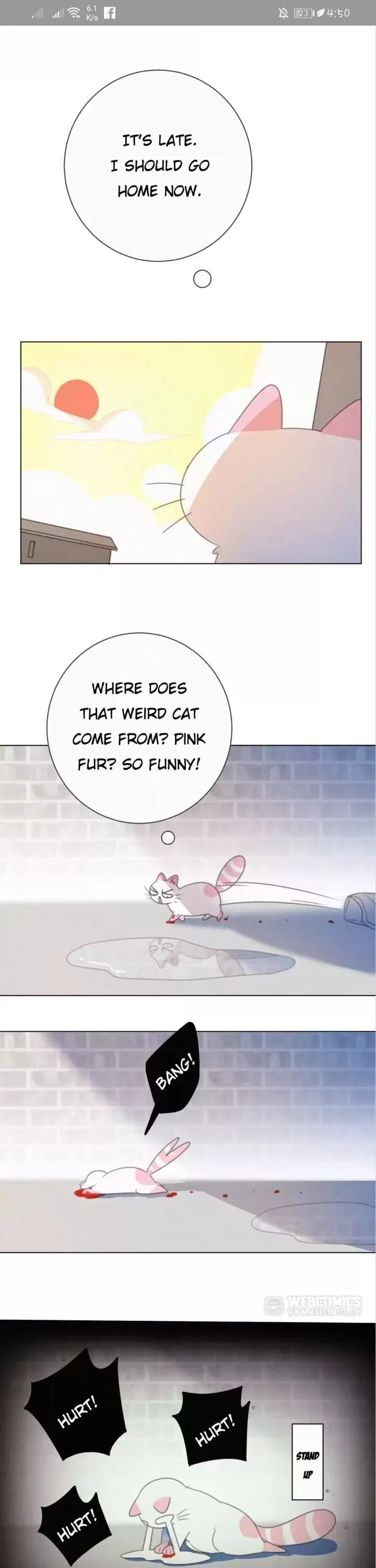 A Cat's World Chapter 39.5 page 5 - 