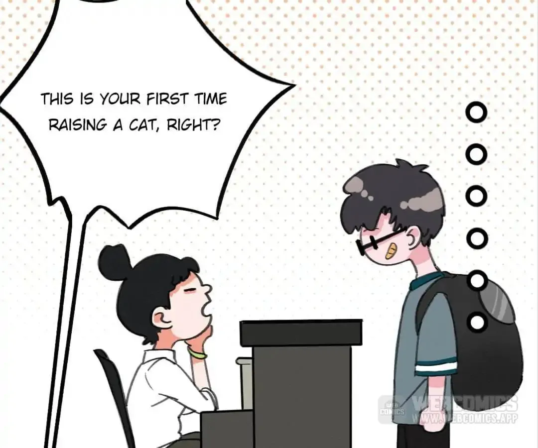 A Cat's World Chapter 4 page 11 - 