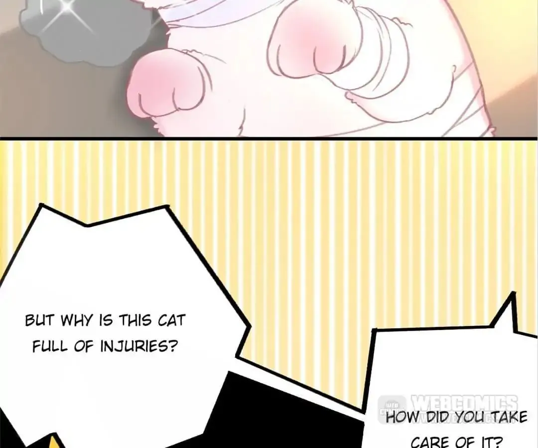 A Cat's World Chapter 4 page 23 - 