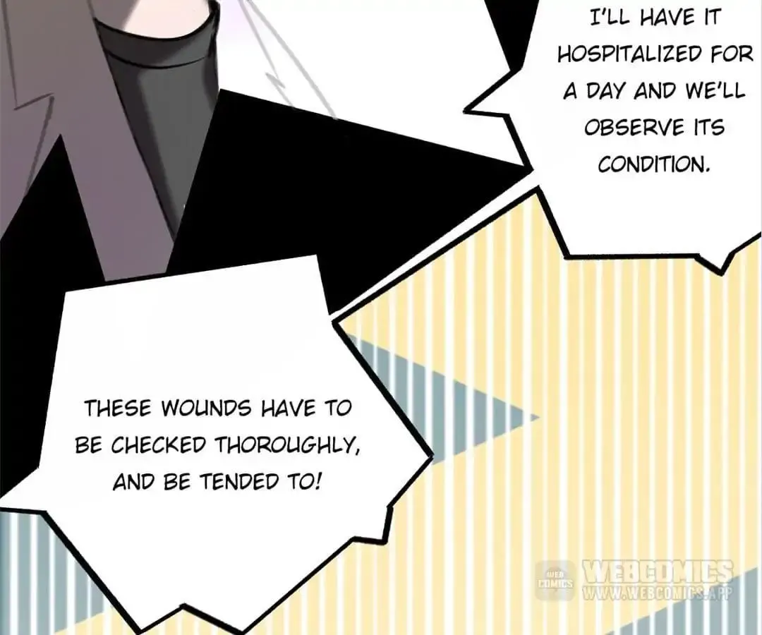 A Cat's World Chapter 4 page 25 - 