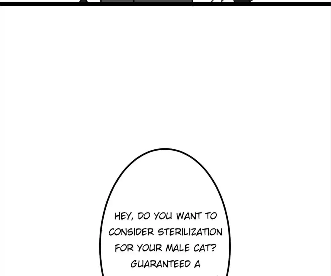 A Cat's World Chapter 4 page 46 - 