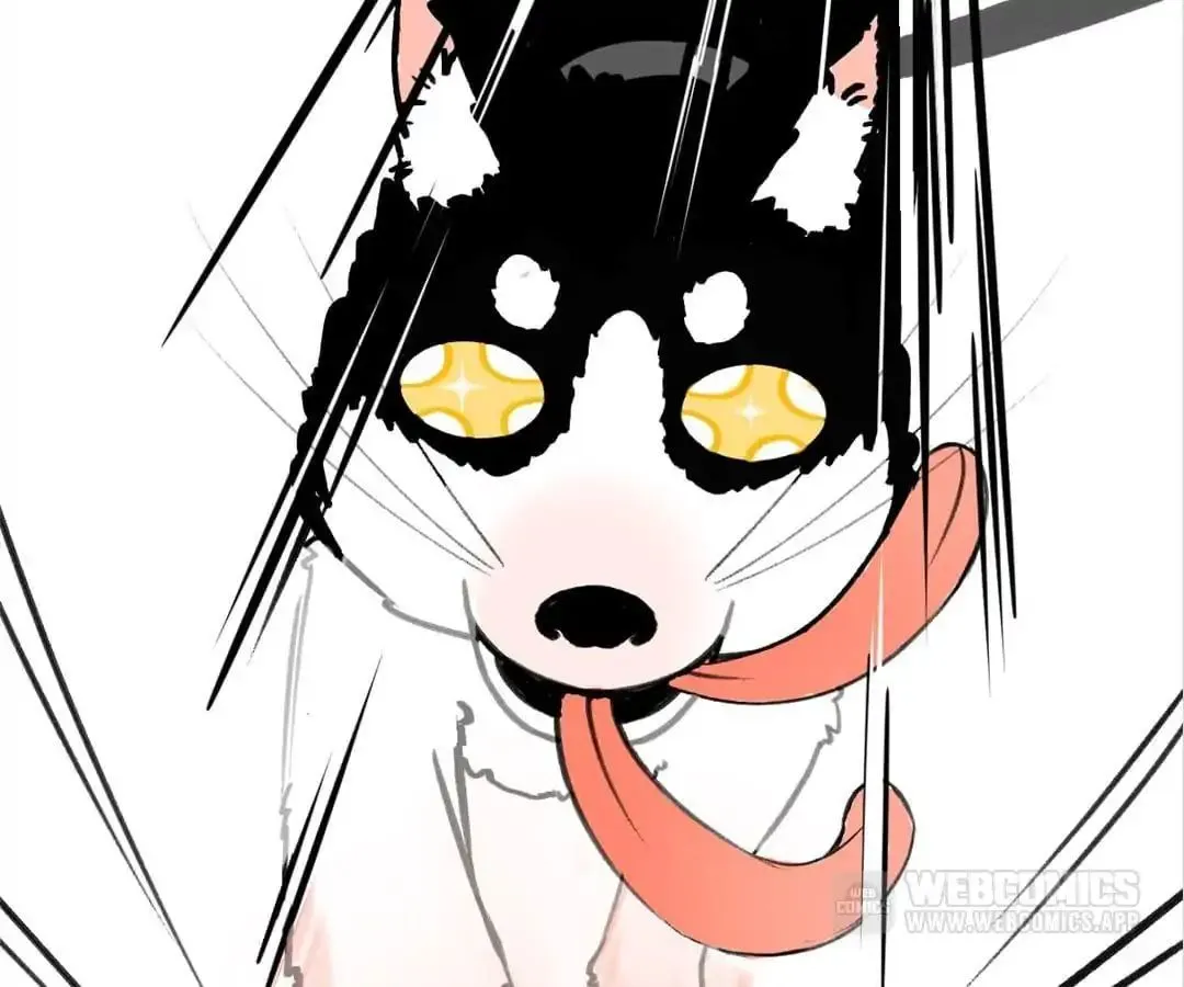 A Cat's World Chapter 4 page 71 - 