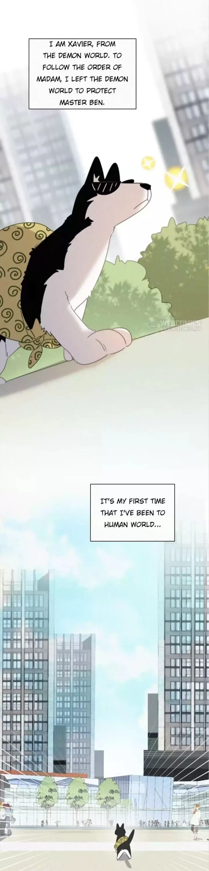 A Cat's World Chapter 40.5 page 1 - 