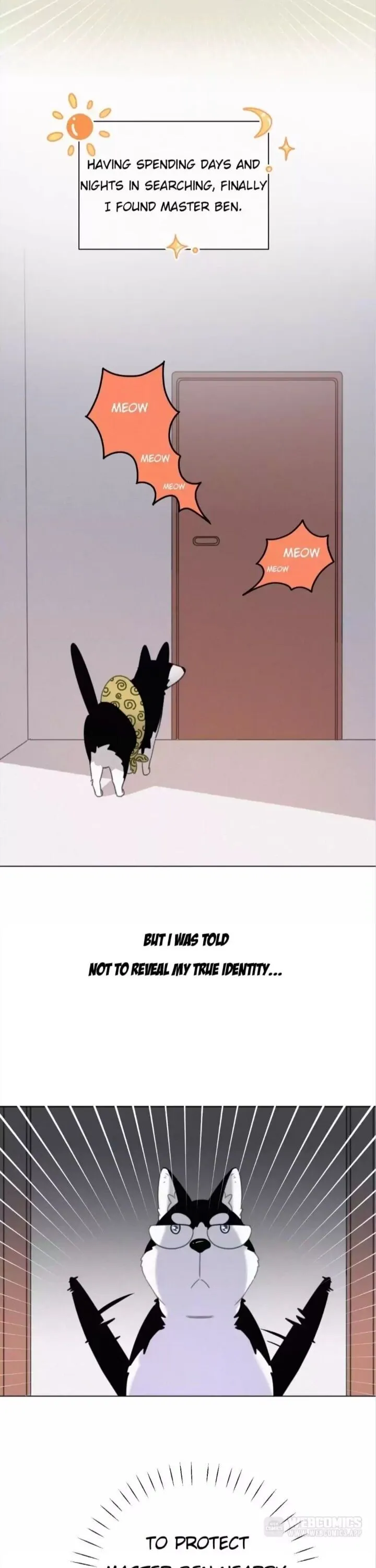 A Cat's World Chapter 40.5 page 2 - 