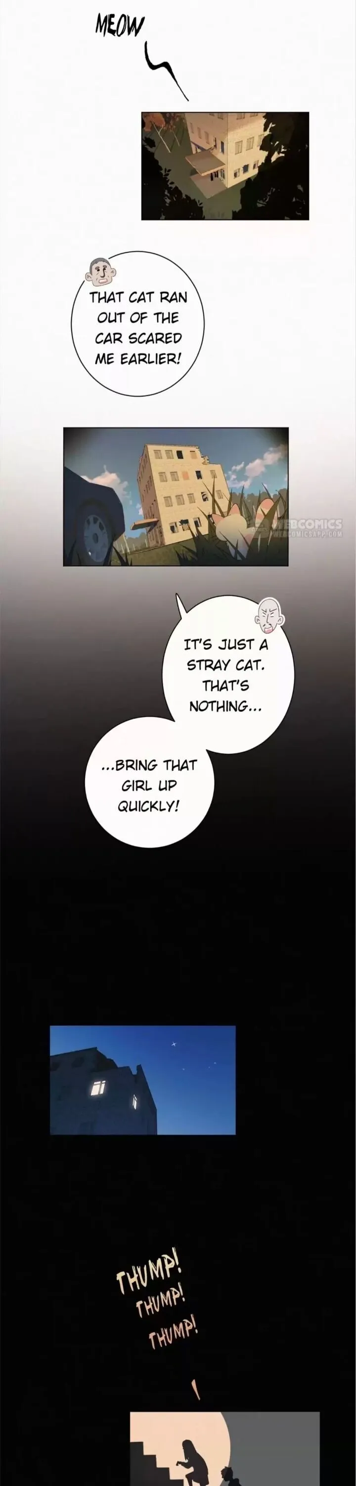 A Cat's World Chapter 46 page 1 - 