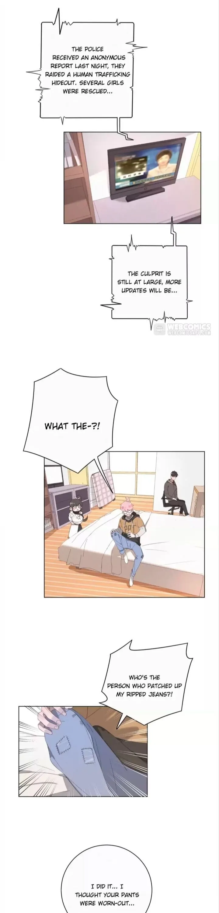 A Cat's World Chapter 47 page 1 - 